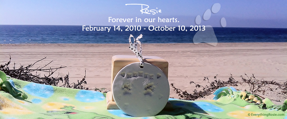 Oct 10, 2013 Always in our hearts – Everything Rosie