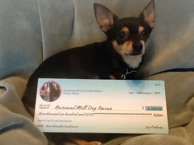 $3,200 for the National Mill Dog Rescue organization