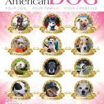 American Dog Magazine