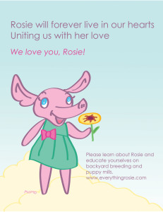Everything Rosie - Forever in Our Hearts