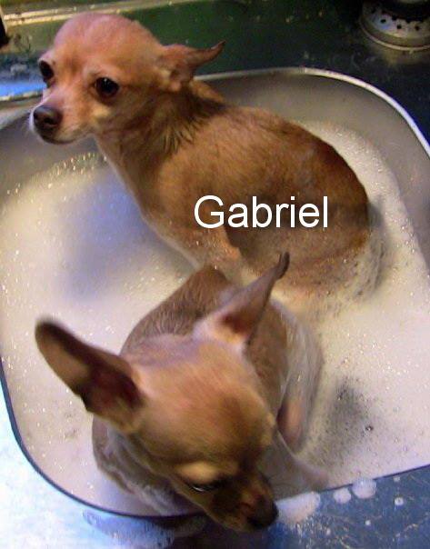 Gabriel