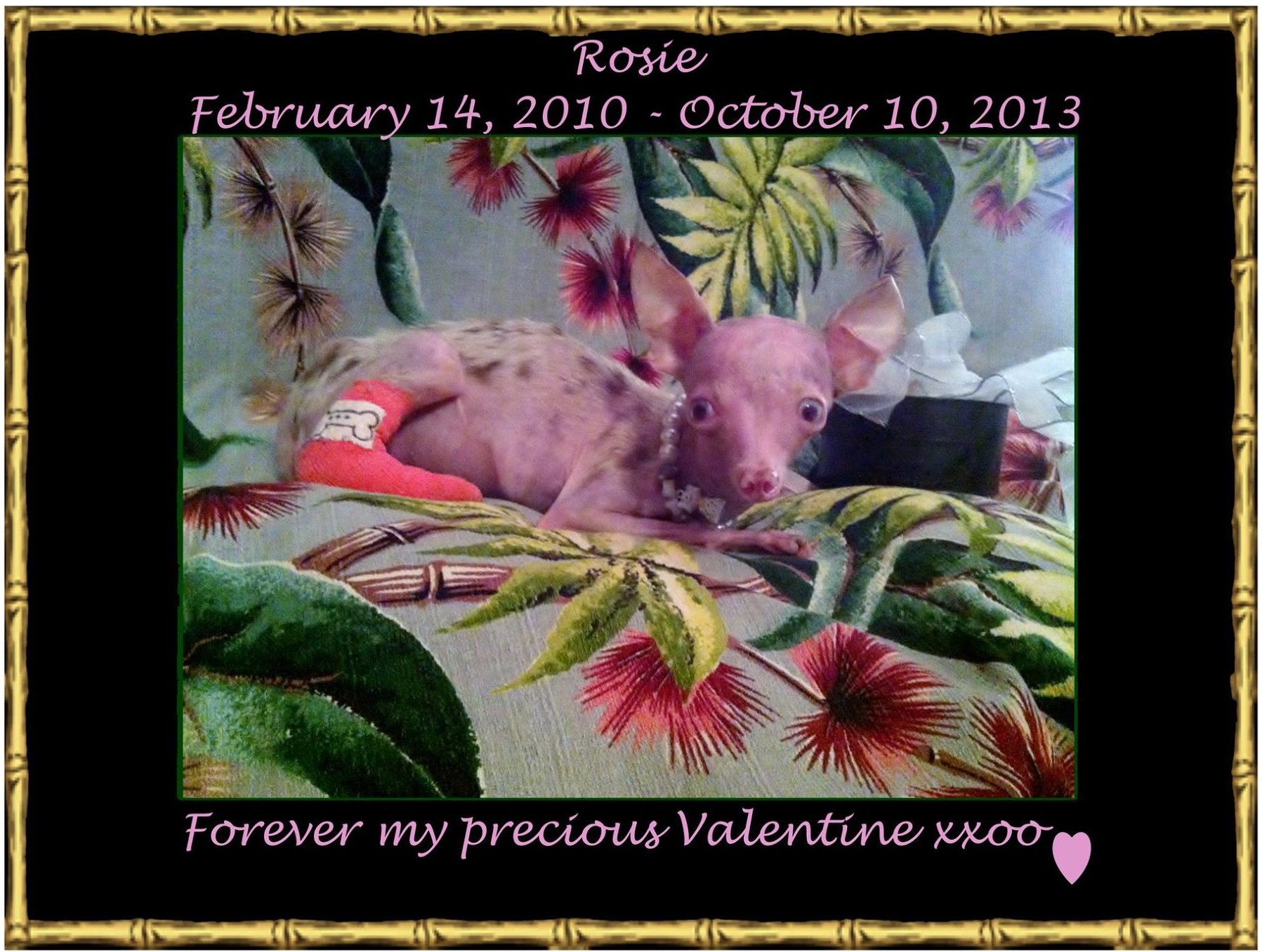 Happy Birthday Rosie - Forever my precious Valentine