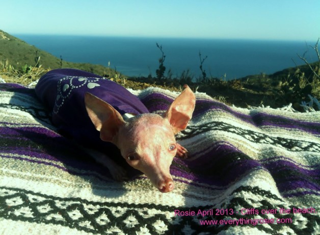 Rosie April 2103 - Cliffs over the beach