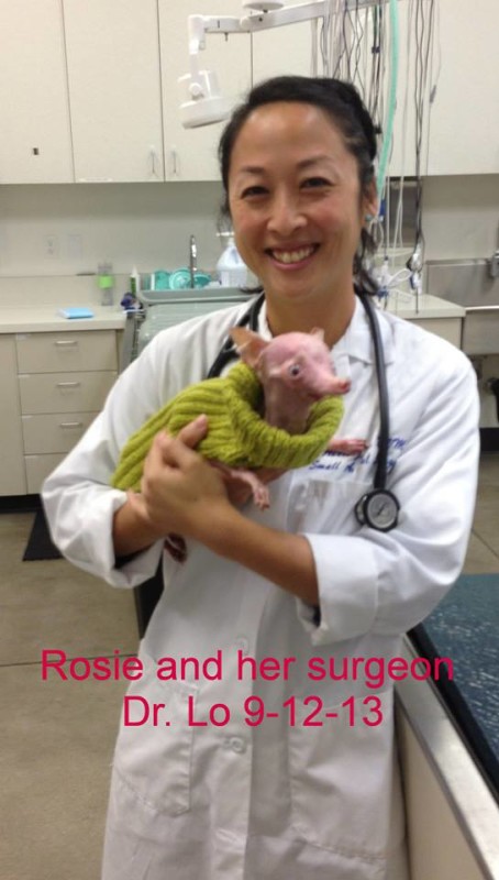 Rosie and Dr Lo
