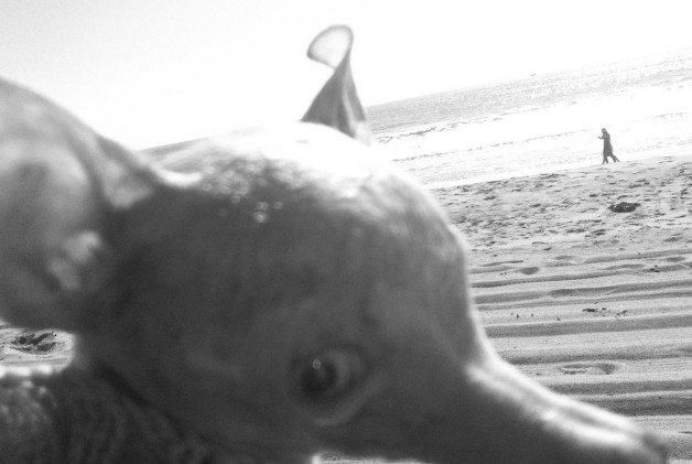 Extreme closeup...she was really happy enjoying the sun and the air today! 