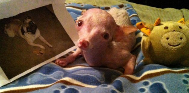 Rosie thanking her little friend Orlando for the gifts and sweet card. 