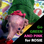 gogreenpink-fbprofilepic-rosie