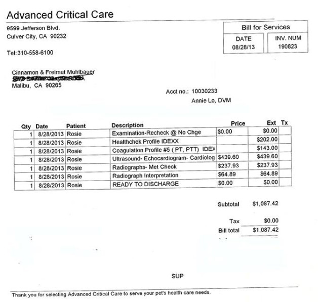 pre-surgery examination